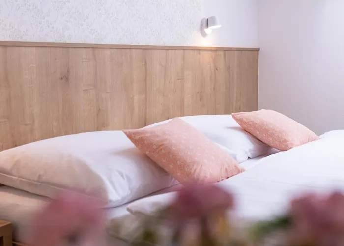 Vinařství šebesta 3* Dolní Dunajovice